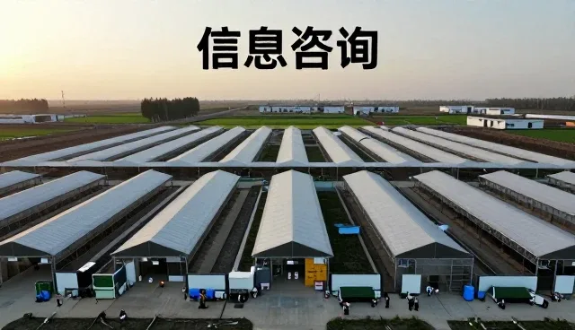 系统实施客户如何选择信息平台建设